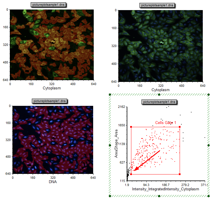 图T28.9  Increasing the Size of Cells Gate 1 (放大门"Cells Gate 1"的尺寸)